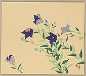 Chosei Miwa 1901-1983 - Blue Balloon Flower - artelino Art Auctions. Chosei Miwa 1901-1983 - Blue Balloon Flower