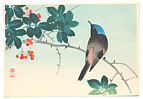 Sozan Ito 1884-? - Blue Head Bird on Nanten Tree - artelino Art Auctions. Sozan Ito 1884-? - Blue Head Bird on Nanten Tree