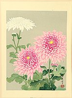 Zuigetsu Ikeda 1877-1944 - Chrysanthemums - artelino Art Auctions. Zuigetsu Ikeda 1877-1944 - Chrysanthemums