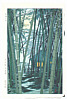 Shiro Kasamatsu 1898-1992 - Bamboo Grove - artelino Art Auctions. Shiro Kasamatsu 1898-1992 - Bamboo Grove