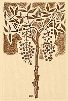 Unichi Hiratsuka 1895-1997 - Hanga Vol.8 - Nandin Tree - artelino Art Auctions. Unichi Hiratsuka 1895-1997 - Hanga Vol.8 - Nandin Tree