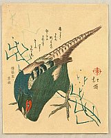 Hokkei Totoya 1780-1850 - Pheasant - artelino Art Auctions. Hokkei Totoya 1780-1850 - Pheasant