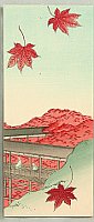 Unknown - Red Maple