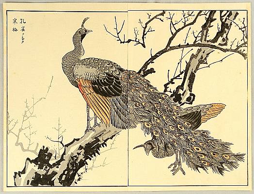 Bunrei Maekawa 1837-1917 - Peafowl and Plum Tree