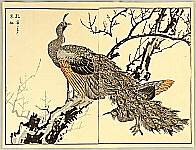 Bunrei Maekawa 1837-1917 - Peafowl and Plum Tree - artelino Art Auctions. Bunrei Maekawa 1837-1917 - Peafowl and Plum Tree