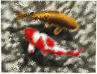 Hideaki Kato born 1954 - Carp in Rain - artelino Art Auctions. Hideaki Kato born 1954 - Carp in Rain
