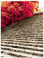 Hideaki Kato born 1954 - Staircase in Autumn - artelino Art Auctions. Hideaki Kato born 1954 - Staircase in Autumn