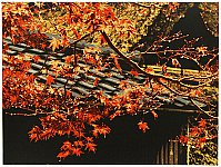 Hideaki Kato born 1954 - Scattered Shower - artelino Art Auctions. Hideaki Kato born 1954 - Scattered Shower