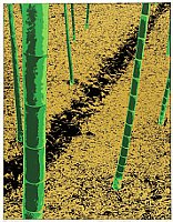 Yuichiro Kato born 1926 - Bamboo Forest - artelino Art Auctions. Yuichiro Kato born 1926 - Bamboo Forest