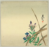 Zeshin Shibata 1807-1891 - Bell Flower - artelino Art Auctions. Zeshin Shibata 1807-1891 - Bell Flower