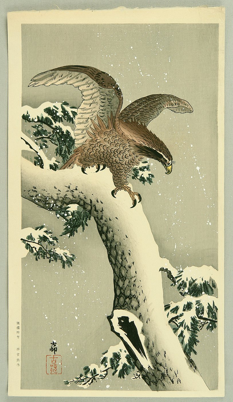 小原古邨: Eagle - Artelino - 浮世絵検索