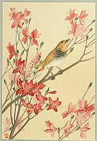 Unknown - Bird on Azalea - artelino Art Auctions. Unknown - Bird on Azalea