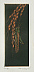 Akira Fujie born 1950 - Locust on Grain - artelino Art Auctions. Akira Fujie born 1950 - Locust on Grain