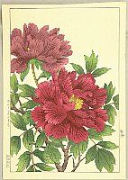 Hodo Nishimura active 1930s - Peony - artelino Art Auctions. Hodo Nishimura active 1930s - Peony