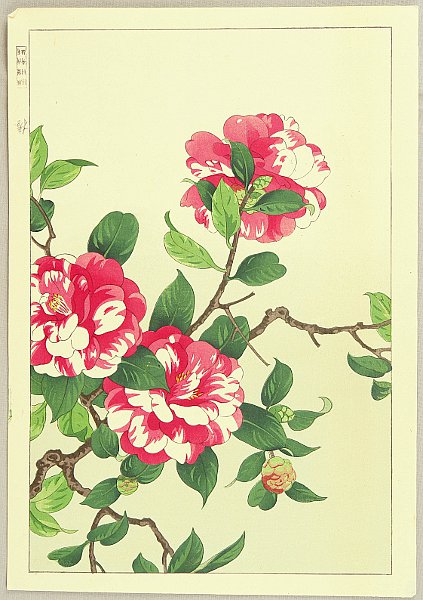 Hodo Nishimura active 1930s - Camellia - artelino Art Auctions. Hodo Nishimura active 1930s - Camellia