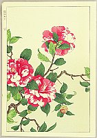 Hodo Nishimura active 1930s - Camellia - artelino Art Auctions. Hodo Nishimura active 1930s - Camellia