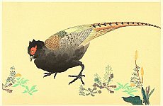Hoitsu Sakai 1761-1828 - Pheasant - artelino Art Auctions. Hoitsu Sakai 1761-1828 - Pheasant