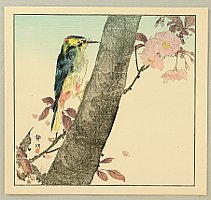 Seiko active ca. 1890 - 1900 - Wood Pecker - artelino Art Auctions. Seiko active ca. 1890 - 1900 - Wood Pecker