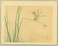 Bairei Kono 1844-1895 - Dragonfly - artelino Art Auctions. Bairei Kono 1844-1895 - Dragonfly