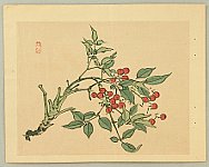 Bairei Kono 1844-1895 - Red Berries - artelino Art Auctions. Bairei Kono 1844-1895 - Red Berries