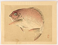 Bairei Kono 1844-1895 - Bairei Gadan - Red Snapper - artelino Art Auctions. Bairei Kono 1844-1895 - Bairei Gadan - Red Snapper