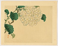 Bairei Kono 1844-1895 - Bairei Gadan - Hydrangea - artelino Art Auctions. Bairei Kono 1844-1895 - Bairei Gadan - Hydrangea
