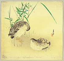 Gekko Ogata 1859-1920 - Two Quails - artelino Art Auctions. Gekko Ogata 1859-1920 - Two Quails