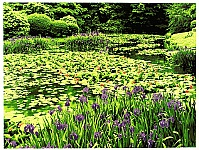 Hideaki Kato born 1954 - Early Summer - artelino Art Auctions. Hideaki Kato born 1954 - Early Summer