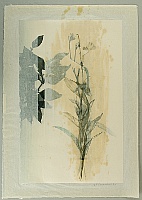 Yo Takahashi born 1958 - Flower of Water - artelino Art Auctions. Yo Takahashi born 1958 - Flower of Water