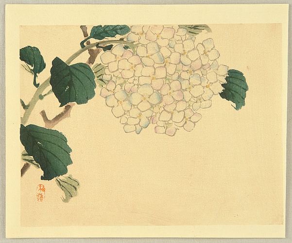 Bairei Kono 1844-1895 - Bairei Gadan - Hydrangea - artelino Art Auctions. Bairei Kono 1844-1895 - Bairei Gadan - Hydrangea