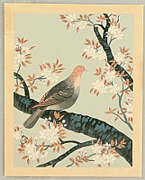 Bakufu Ono 1888-1976 - Collection of Japanese Flowers and Birds - Turtle Dove and Cherry - artelino Art Auctions. Bakufu Ono 1888-1976 - Collection of Japanese Flowers and Birds - Turtle Dove and Cherry