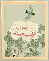Bakufu Ono 1888-1976 - Collection of Japanese Flowers and Birds - Colorful Bird and Peony - artelino Art Auctions. Bakufu Ono 1888-1976 - Collection of Japanese Flowers and Birds - Colorful Bird and Peony
