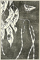 Jakuchu Ito 1715-1800 - Genpo Yoka - Moth - artelino Art Auctions. Jakuchu Ito 1715-1800 - Genpo Yoka - Moth