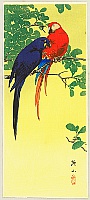 Sozan Ito 1884-? - Two Macaws - artelino Art Auctions. Sozan Ito 1884-? - Two Macaws