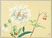Yoji Oguri active ca. 1950s - Dahlias - artelino Art Auctions. Yoji Oguri active ca. 1950s - Dahlias