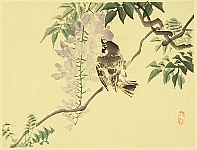 Bairei Kono 1844-1895 - Sparrow and Wisteria - artelino Art Auctions. Bairei Kono 1844-1895 - Sparrow and Wisteria