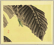 Bairei Kono 1844-1895 - Grasshopper - artelino Art Auctions. Bairei Kono 1844-1895 - Grasshopper