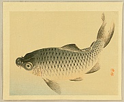 Bairei Kono 1844-1895 - Bairei Gadan - Carp - artelino Art Auctions. Bairei Kono 1844-1895 - Bairei Gadan - Carp