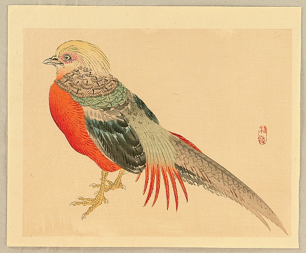 Bairei Kono 1844-1895 - Bairei Gadan - Chinese Pheasant