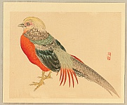 Bairei Kono 1844-1895 - Bairei Gadan - Chinese Pheasant - artelino Art Auctions. Bairei Kono 1844-1895 - Bairei Gadan - Chinese Pheasant