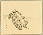 Bairei Kono 1844-1895 - Bairei Gadan - Tortoise - artelino Art Auctions. Bairei Kono 1844-1895 - Bairei Gadan - Tortoise