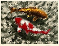 Hideaki Kato born 1954 - Carp in Rain - artelino Art Auctions. Hideaki Kato born 1954 - Carp in Rain