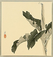 Konobu Hasegawa fl.ca. 1867-1879 - Banana Tree - artelino Art Auctions. Konobu Hasegawa fl.ca. 1867-1879 - Banana Tree