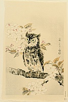 Eiichi Kotozuka 1906-1979 - Owl and Cherry Blossoms - artelino Art Auctions. Eiichi Kotozuka 1906-1979 - Owl and Cherry Blossoms