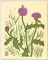 Sumio Kawakami 1895-1972 - Thistle - Sosaku Hanga Flowers - artelino Art Auctions. Sumio Kawakami 1895-1972 - Thistle - Sosaku Hanga Flowers