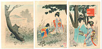 Shuntei Miyagawa 1873-1914 - Beauty and Autumn Garden - artelino Art Auctions. Shuntei Miyagawa 1873-1914 - Beauty and Autumn Garden