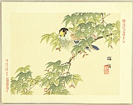 Bairei Kono 1844-1895 - Flowers and Birds Picture Album by Bairei No.4. - artelino Art Auctions. Bairei Kono 1844-1895 - Flowers and Birds Picture Album by Bairei No.4.