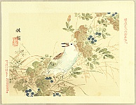 Bairei Kono 1844-1895 - Flowers and Birds Picture Album by Bairei No.9 - artelino Art Auctions. Bairei Kono 1844-1895 - Flowers and Birds Picture Album by Bairei No.9