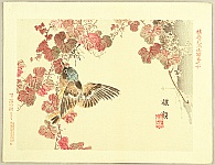 Bairei Kono 1844-1895 - Flowers and Birds Picture Album by Bairei No.10 - artelino Art Auctions. Bairei Kono 1844-1895 - Flowers and Birds Picture Album by Bairei No.10