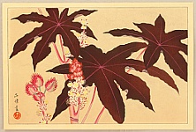 Masaharu Aoyama 1893-1969 - Botanical Print - artelino Art Auctions. Masaharu Aoyama 1893-1969 - Botanical Print